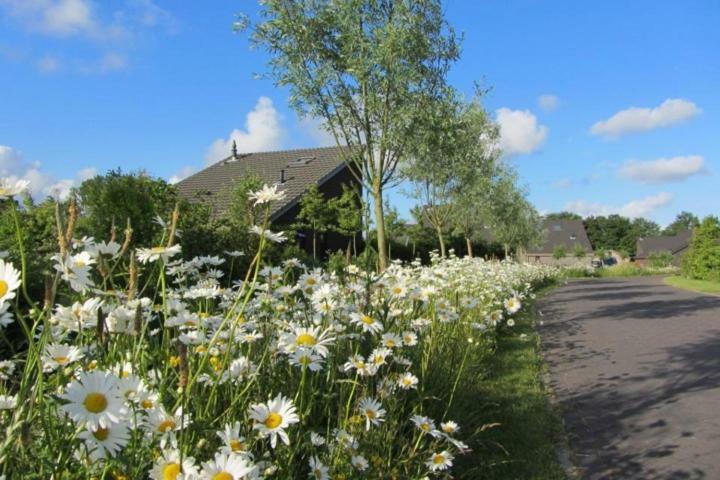 Bergen Holiday Home سكورل المظهر الخارجي الصورة